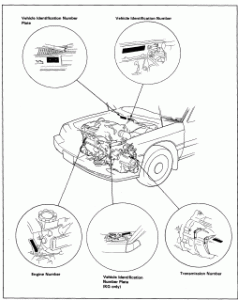 Honda Legend 1988 1989 - Service Manual - Workshop Service